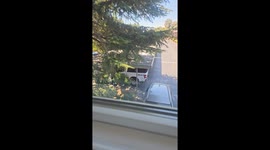 Strangers Caught In Sexual Interaction Outside Apartment Complex