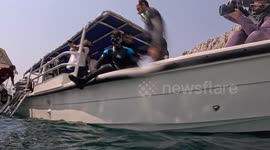 Para-athlete diver Faisal Jawad steals the show on day 2 of Musandam International Diving Festival