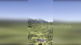 US: Coast Guard Rescues Pilot From Downed Aircraft Near Haines