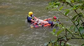 US: Dog Rescued From Raging Chattahoochee River In Georgia
