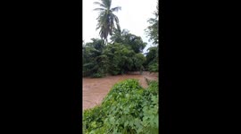 Heavy rain from Typhoon Kajiki floods village in northern Thailand