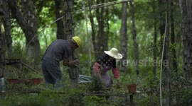 China: China transforms ecological landscapes into economic hubs