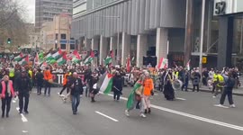 RECAP: Hundreds of Thousands Rally Across Australia for Palestine