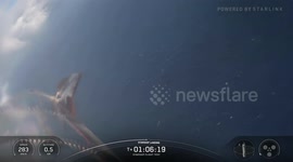 US: SpaceX's Starship completes 10th flight test with controlled splashdown