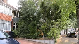 Overgrown house swallowed up by nature sells at auction for £188k