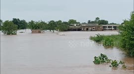 Pakistan: Severe Flood in River Chenab, Gujrat: Over 592,000 Cusecs Water Flow Submerges Villages, Hundreds of Livestock Drown