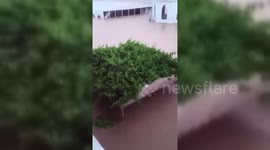 India: Gujrat Residents Appeal for Aid as Flooding Hits Shahbazpur