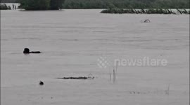 Pakistan: River Chenab Breaches Near Kaluwal, Sialkot: Villages Submerged, Key Road Washed Away, Man Climbs Tree to Escape Flood
