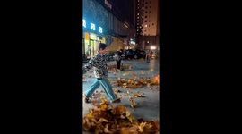 Commanding the Wind: Rustling Leaves