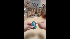 Curious Cute Kittens