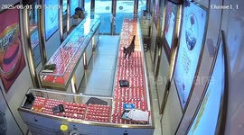 Cat crashes while trying to leap across shop counters