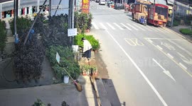 Riderless motorcycle trailer crashes into garden centre