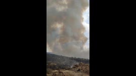 Wildfire forces wildlife to flee in Corporales, Castile and León