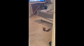 Floor tiles separating due to heat and moisture in Philipsburg, Sint Maarten