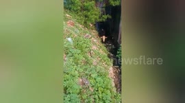 Social organisation rescued a cow stuck in the drain in Shahdol, Madhya Pradesh