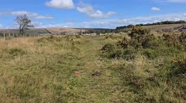 'I thought they were dead': Hiker mistakes sun-worshipping sleepers for dead bodies in UK park