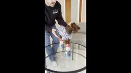 Mini Dachshund Nailed the Nicki Minaj Pose