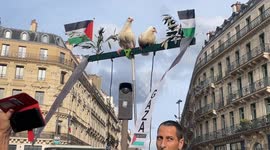 France: Protest held in France to highlight famine in Gaza