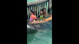 Shark Spit Surprise