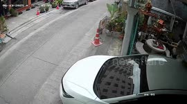 Passerby spots cat on car roof and kindly returns it home