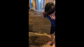 Cat peeing with unusual help in Ho Chi Minh City, Vietnam