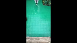 Superior Darting Skills