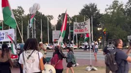 US: Protest in D.C. Honors Victims of Gaza Hospital Strike