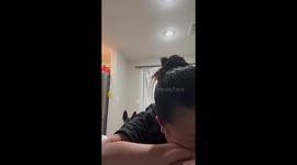 Clingy dog pushes into owner’s arms in Las Vegas, Nevada