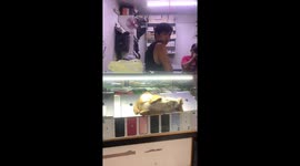 Sleep mode! Cat curls up on iPads in shop display