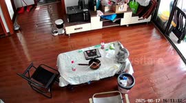 Pet pushes gold bracelet into bin before owner unknowingly throws it away
