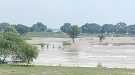 Pakistan: Kasur: India Releases Sutlej Floodwaters Towards Pakistan After 38 Years