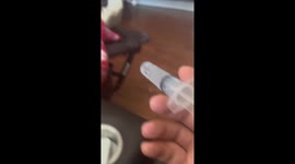 Sleeping dogs get a hilarious wake-up call from a sneaky water prank