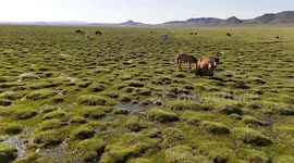Mongolia: DRONE - From Orkhon Valley to Ulaan Tsutgalan: Mongolia’s hidden gems