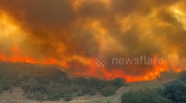 Türkiye: Firefighters battle to extinguish wildfire in northwestern Türkiye