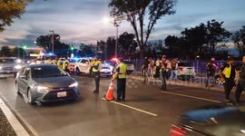 US: HSI Checkpoint Washington DC August 28