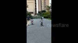 Young boy biker showing off to girl ends up crashing into fence