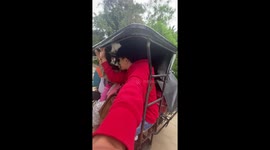 Tricycle topples over as it navigates muddy uphill road