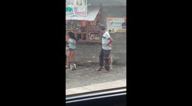 Pet dog follows owner home while carrying his bucket