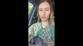 'Please don't be dead': Student's rescue of rare hawk takes a wild turn and over a million views