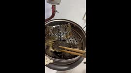 A Girl Talking to Crab While Steaming