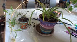 Painting flower pots is fun with Kensington and Chelsea Volunteer Centre at St Cuthberts Church in Philbeach Gardens