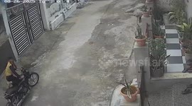 Rampaging bulls trample resident on narrow street in India