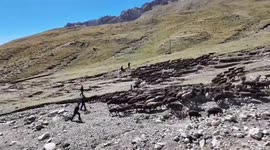 China: Herders start autumn migration in Xinjiang
