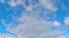 US: SpaceX Starship Executes Precise Splashdown Despite Intentional Damage