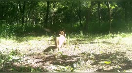 Central African Republic: First Lion Cubs In Decades Bring Hope To North-Eastern Central African Republic