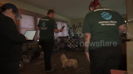 US: Over 100 Dogs Rescued From Alleged Neglect In Harford County