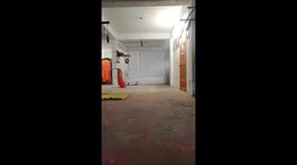 Ninja