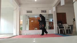 Ninja