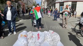 Pro-Palestinian march in Paris highlights famine and killings of journalists