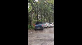 Over 40 Days of Continuous Monsoon Showers in Karnataka